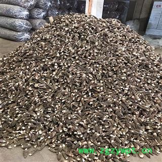 羊肚菌 精选大货7到9公分 剪柄肉厚图4