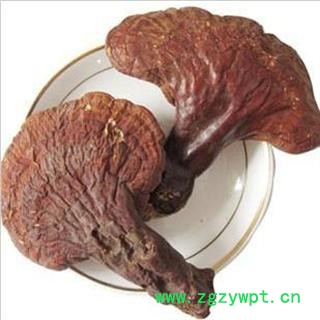 木灵芝 统 产地 吉林省白山市抚松县，产地直供，假一赔十图4