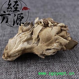 灰树花 贝叶多孔菌、栗子蘑、莲花菌、叶状奇果菌、千佛菌图4