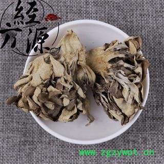 灰树花 贝叶多孔菌、栗子蘑、莲花菌、叶状奇果菌、千佛菌图2