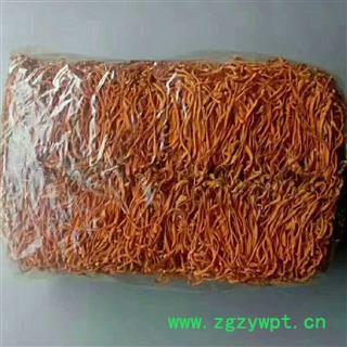 京辉药业 金虫草 金虫草花 北冬虫草 实物拍摄 无美颜图2