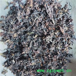 海藻 水洗海藻 产地 山东省图4