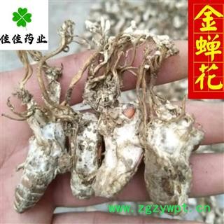 蝉花 好统货 正品 高含量 金蝉花 供应各种中药材 产地 安徽省图4