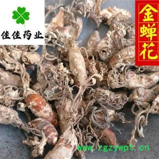 蝉花 好统货 正品 高含量 金蝉花 供应各种中药材 产地 安徽省图3