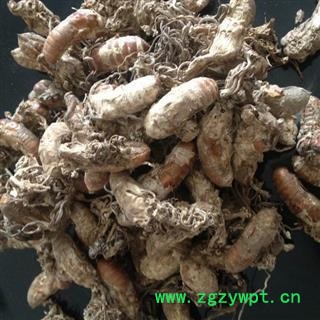 蝉花 好统货 正品 高含量 金蝉花 供应各种中药材 产地 安徽省图2