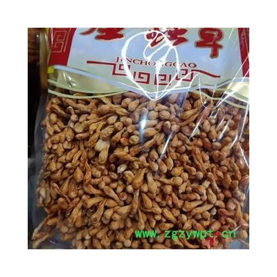 虫草花 选装 金虫草 虫草花 产地 吉林省 小影全品类中药材店铺