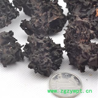 血耳 统 产地 湖北省襄樊市保康县图2