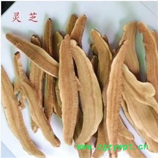 灵芝 选 产地 安徽省六安市霍山县图3