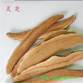 灵芝 选 产地 安徽省六安市霍山县图2