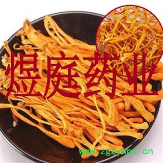 煜庭药业 虫草花 虫草 金虫草 金虫草花 北冬虫草图2