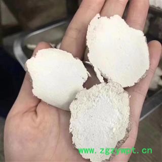 瑞森药材行虎乳菌 虎乳250克切片老虎乳菌  虎乳菇图2