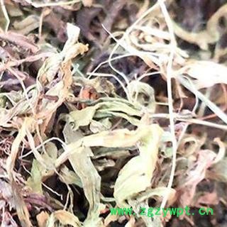 水洗甘松 统货 产地 四川省安国市场批发零售大全图2