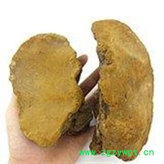 诺源药材行藏药桑黄  桑黄菇 针层孔菌图2