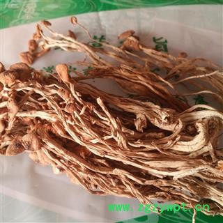 安祁名药蘑菇 茶树菇 江西特产 煲汤首选图2