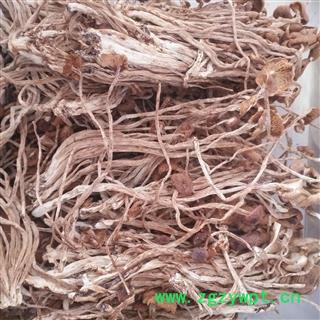 安祁名药蘑菇 茶树菇 江西特产 煲汤首选图3