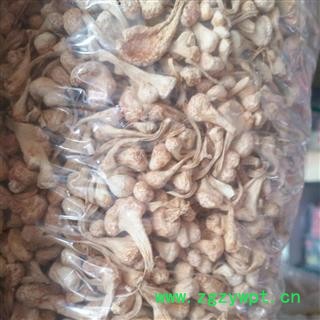 安祁名药正品纯孢子头金虫草 大孢子头图2