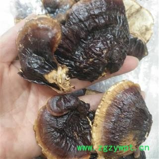 安祁名药优质灵芝图3