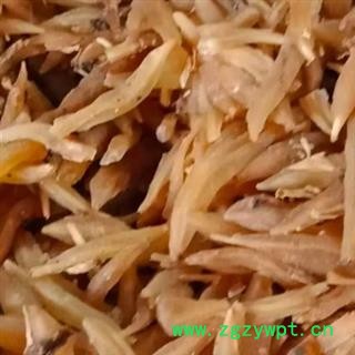 中药材天冬 有多个规格 本品是无硫干货 不提炼 不掺假 不染色 手工挑选 自然晾晒 干净无杂 品质保证 安国中药材批发零售大全图3