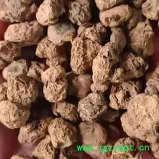 中药材元胡 延胡索 多种规格 本品为纯天然新鲜采挖 自然晾晒 无添加 无熏硫 不掺假 无增重 手工甄选 品质有保证 安国中药材批发零售大全图2