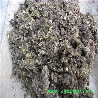 红浮萍 统货 产地 四川省成都市双流县 库存 300千克可售图2