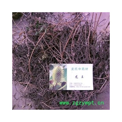 海金沙根 精品 产地 四川省成都市双流县