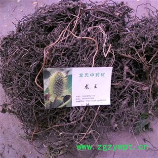 海金沙根 精品 产地 四川省成都市双流县图3