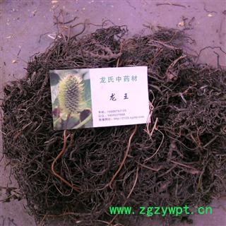 海金沙根 精品 产地 四川省成都市双流县图4