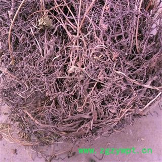 海金沙根 精品 产地 四川省成都市双流县图2