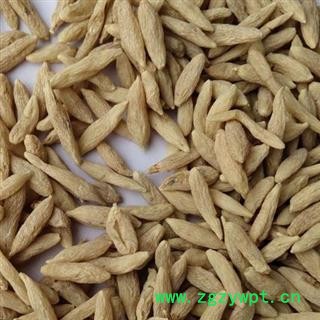 中药材麦冬 产地湖北 山麦冬 麦冬统货 品种规格齐全安国市场批发零售大全图3