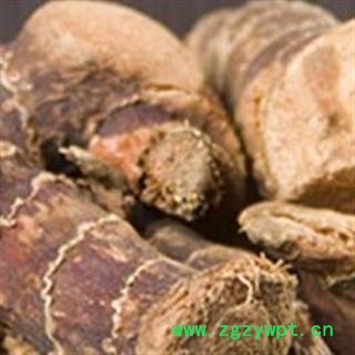 高良姜 统 产地 广东省安国市场批发零售大全图2