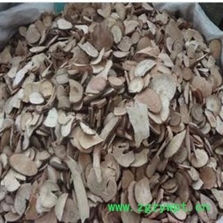 乌药 统 产地 浙江省台州市天台县图2