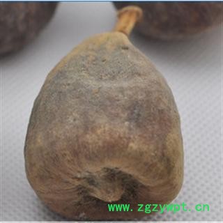 木馒头奶母果 薜荔 木莲 鬼馒头 统 产地 广西壮族自治区钦州市市辖区图2
