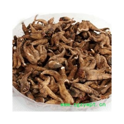 手掌参 统 产地 西藏自治区昌都地区丁青 双鹏药材行 可提供打粉