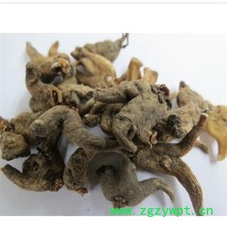 手掌参 统 产地 西藏自治区昌都地区丁青 双鹏药材行 可提供打粉图2
