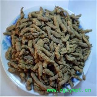 巴戟 好统 产地 广东省肇庆市市辖区图2