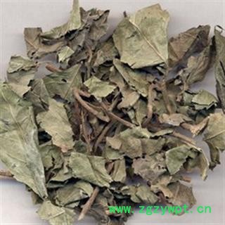 平地木 矮地茶,紫金牛,少年红,不出林统图3