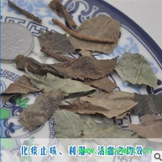 平地木 矮地茶,紫金牛,少年红,不出林统图2