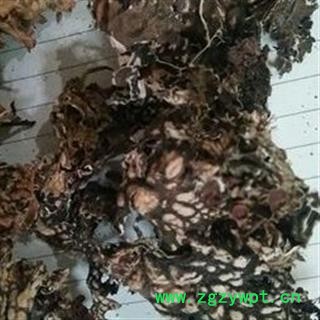 京辉药业 老龙皮 石龙皮 网肺衣 石龙衣 正品图3