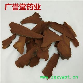 桑黄 桑黄片 统 黑龙江 产地 黑龙江省图3