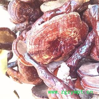 灵芝 统 产地 安徽省六安市金寨县图2