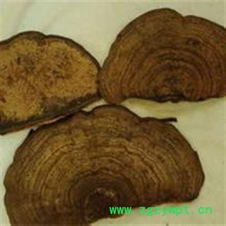 灵芝 海南平盖灵芝 野生灵芝 海南树舌灵芝 统货瑞芝堂产地直销1000克图4