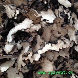 猪苓 统 产地 黑龙江省双鸭山市市辖区图3