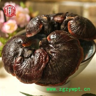 灵芝 野生有柄赤芝  海南有柄赤芝 药典正品 规格齐全 一站购齐图2