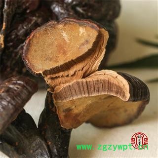 灵芝 野生有柄赤芝  海南有柄赤芝 药典正品 规格齐全 一站购齐图4