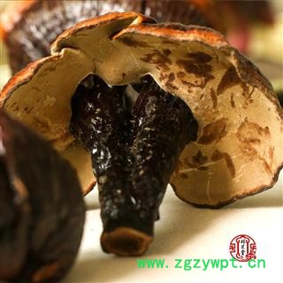 灵芝 野生有柄赤芝  海南有柄赤芝 药典正品 规格齐全 一站购齐图3