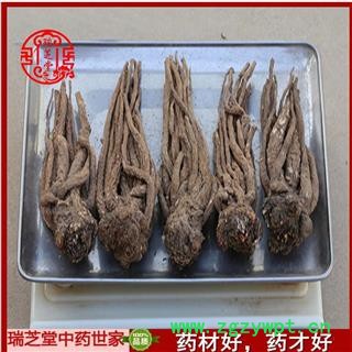 当归 全当归大条25支  药典正品  中药材 瑞芝堂产地直供1000克 规格齐全 一站购齐图2