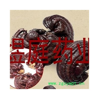 煜庭药业 紫灵芝 正品