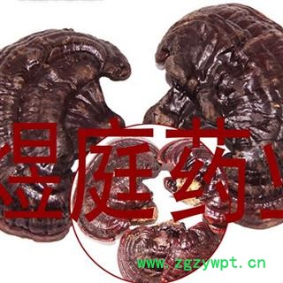 煜庭药业 紫灵芝 正品图2