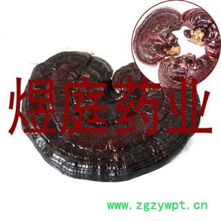 煜庭药业 紫灵芝 正品图4
