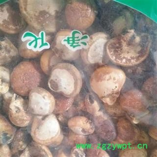 诺源中药材优质藏药徽琼灵芝 徽琼果灵芝图3